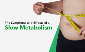 Metabolic Slowdown