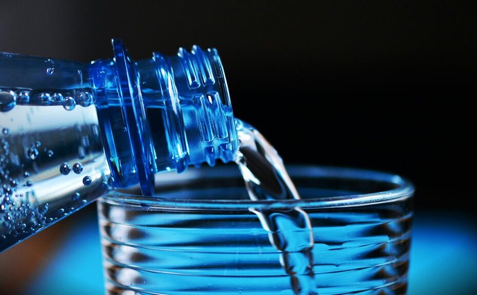 microplastics impact kidney filtration