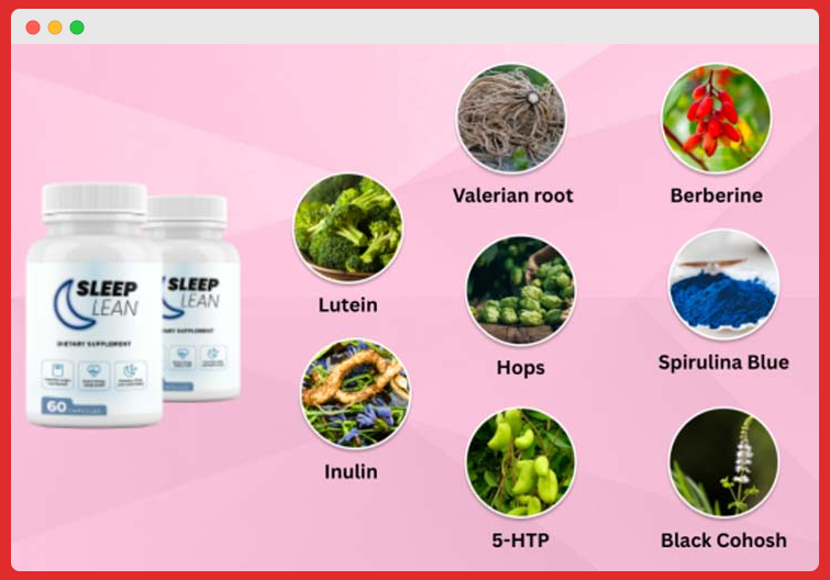 SleepLean Ingredient's 
